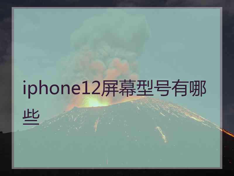 iphone12屏幕型号有哪些