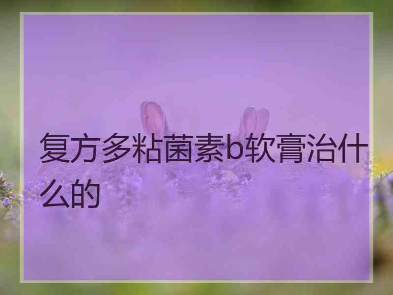 复方多粘菌素b软膏治什么的