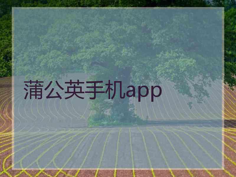 蒲公英手机app