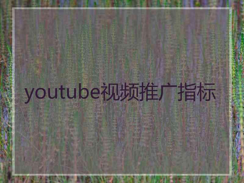 youtube视频推广指标