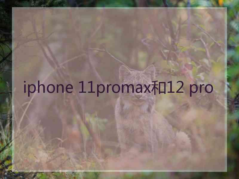 iphone 11promax和12 pro