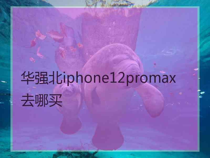 华强北iphone12promax去哪买