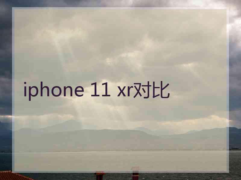 iphone 11 xr对比