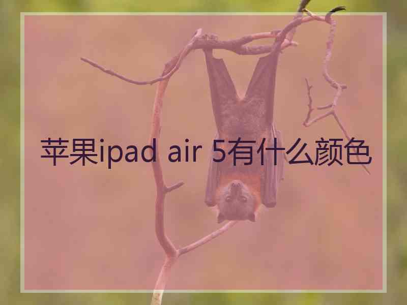 苹果ipad air 5有什么颜色