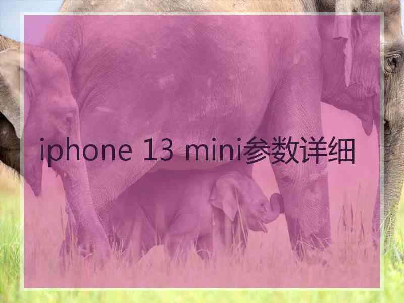 iphone 13 mini参数详细