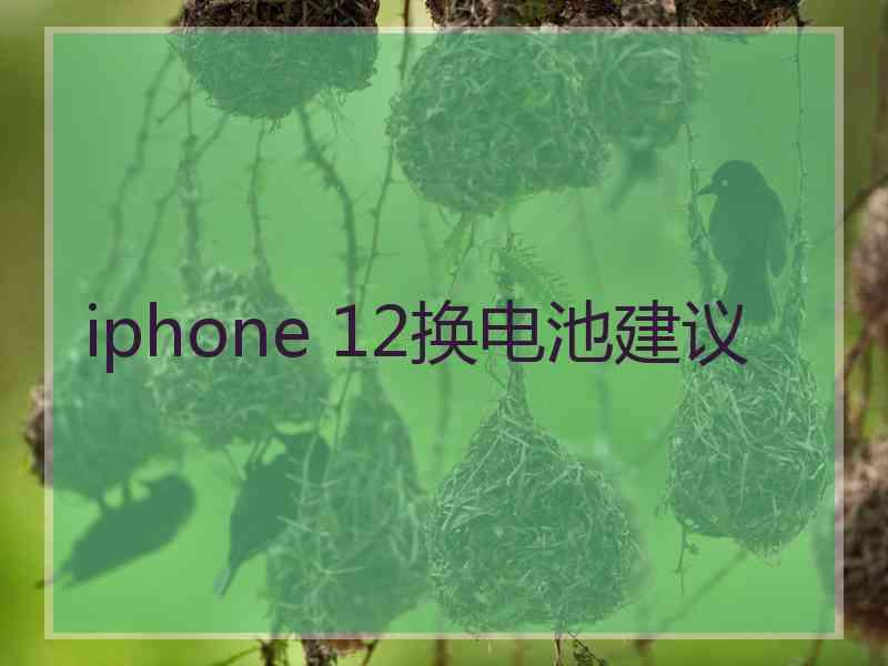 iphone 12换电池建议