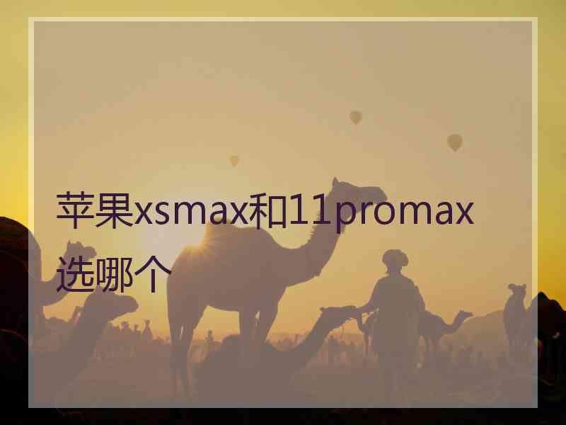 苹果xsmax和11promax选哪个