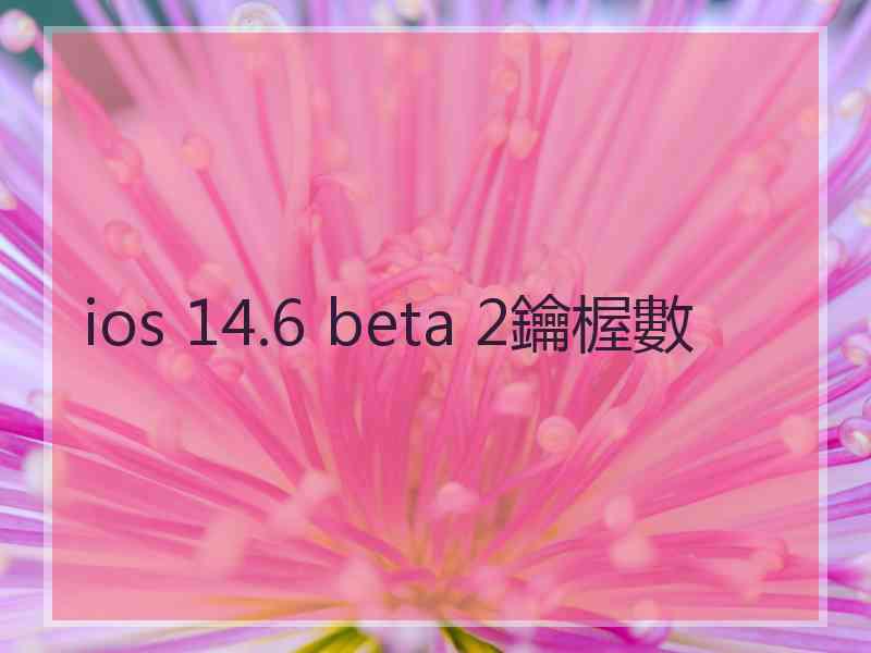 ios 14.6 beta 2鑰楃數