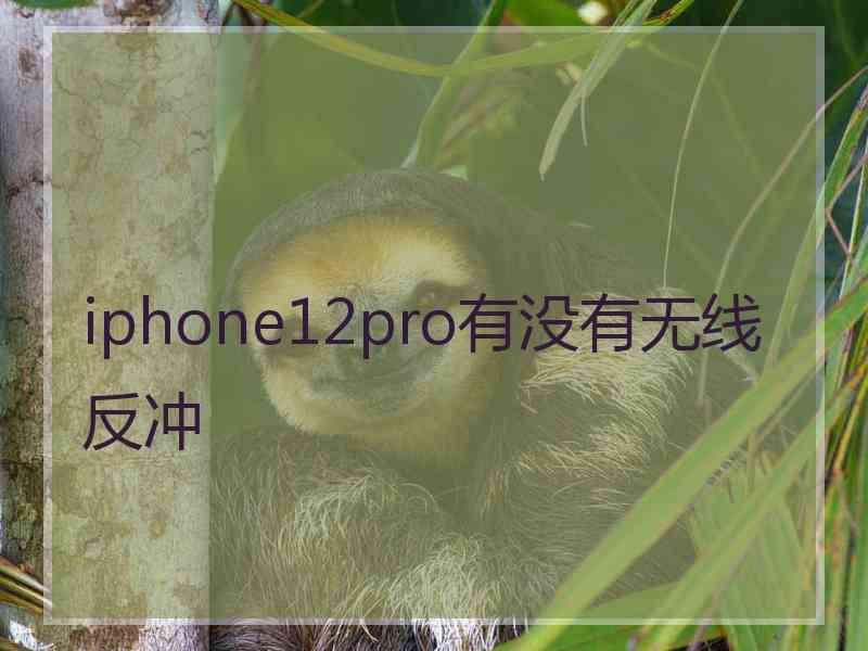 iphone12pro有没有无线反冲