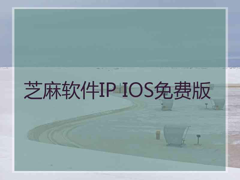 芝麻软件IP IOS免费版