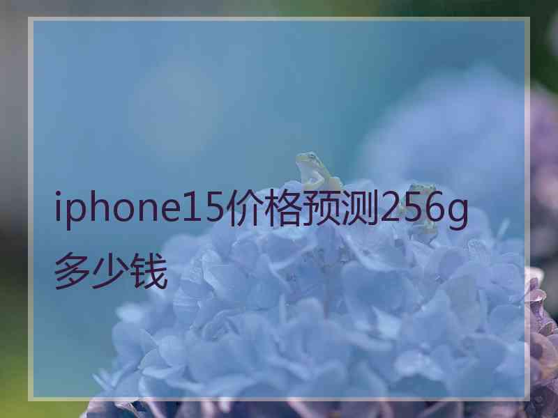 iphone15价格预测256g多少钱