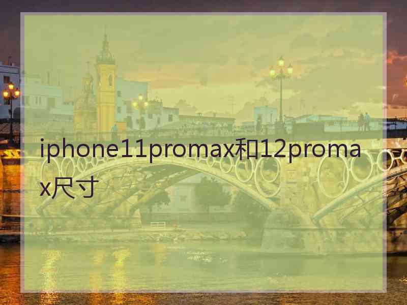 iphone11promax和12promax尺寸