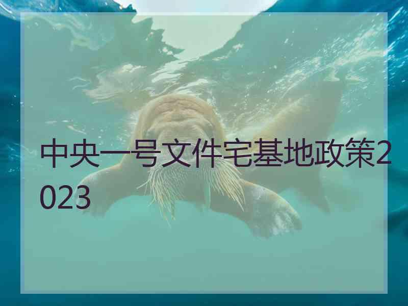 中央一号文件宅基地政策2023