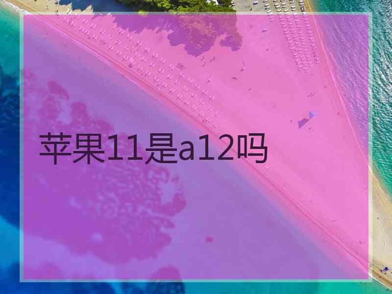 苹果11是a12吗