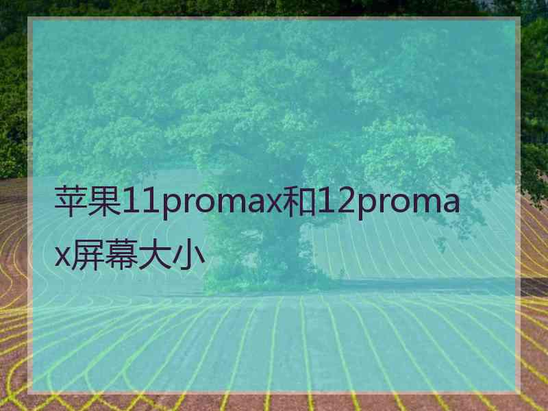 苹果11promax和12promax屏幕大小