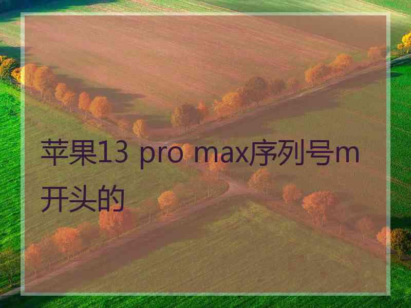 苹果13 pro max序列号m开头的