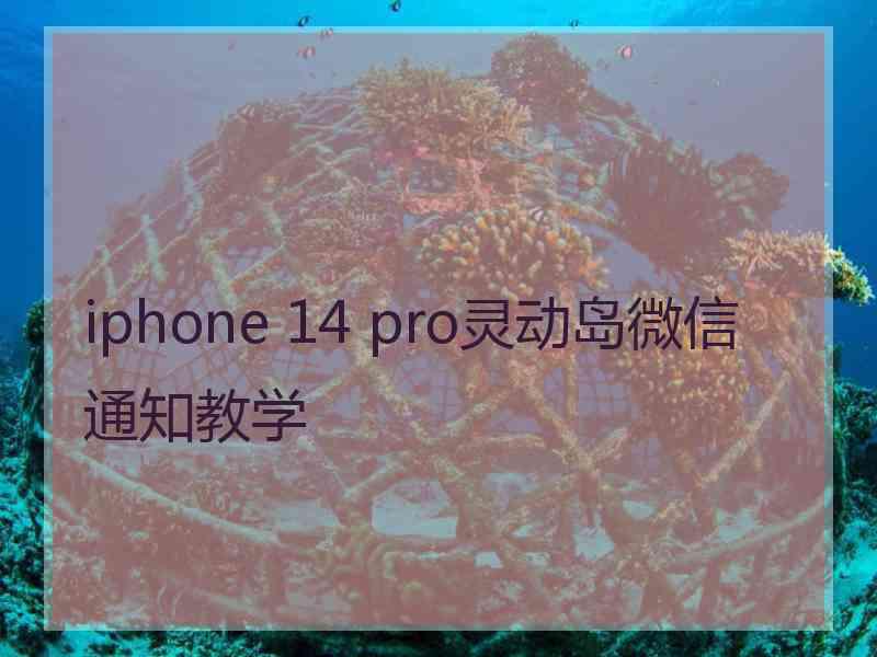 iphone 14 pro灵动岛微信通知教学