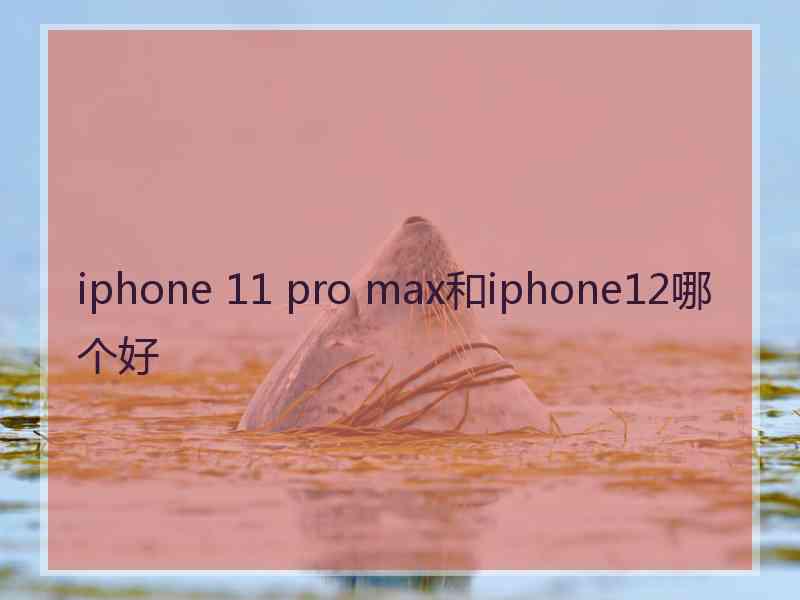 iphone 11 pro max和iphone12哪个好