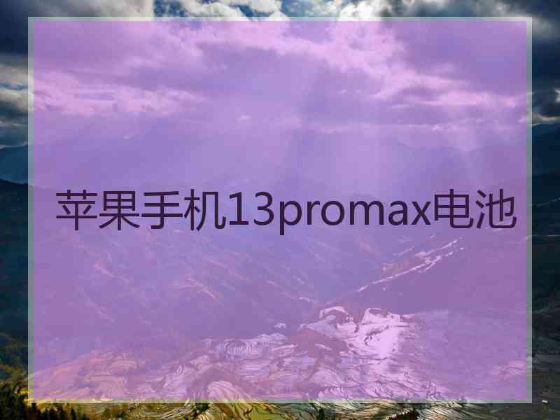 苹果手机13promax电池