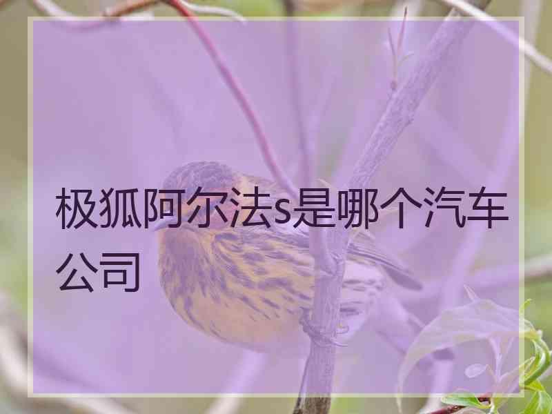 极狐阿尔法s是哪个汽车公司