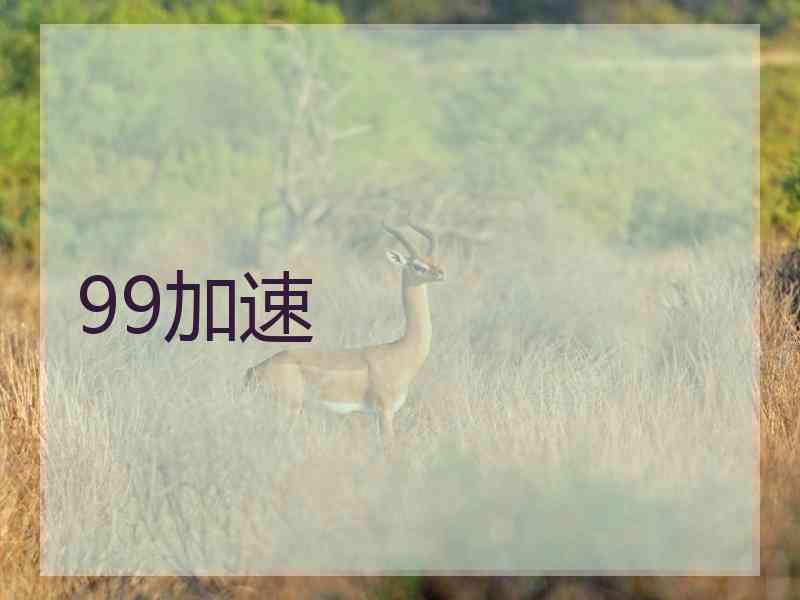 99加速