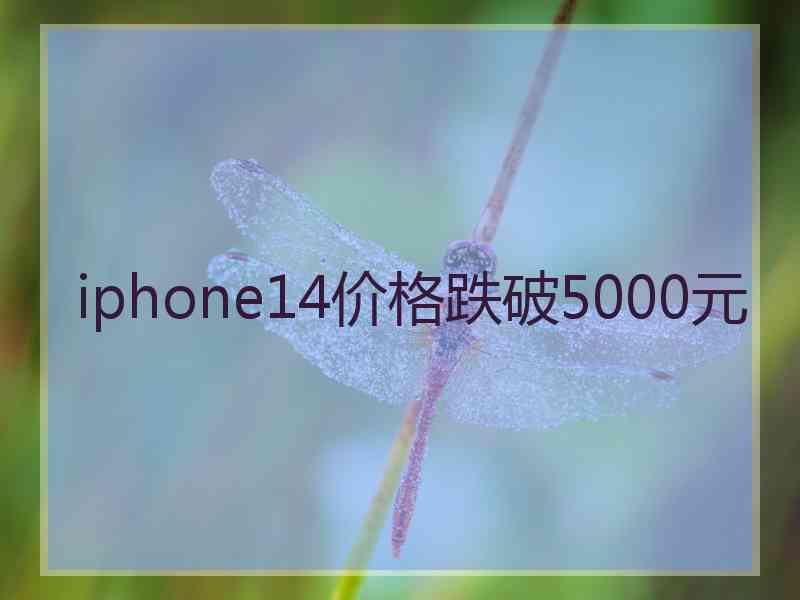 iphone14价格跌破5000元