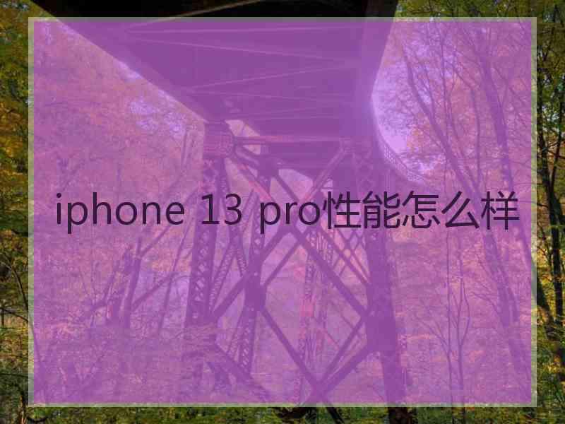 iphone 13 pro性能怎么样