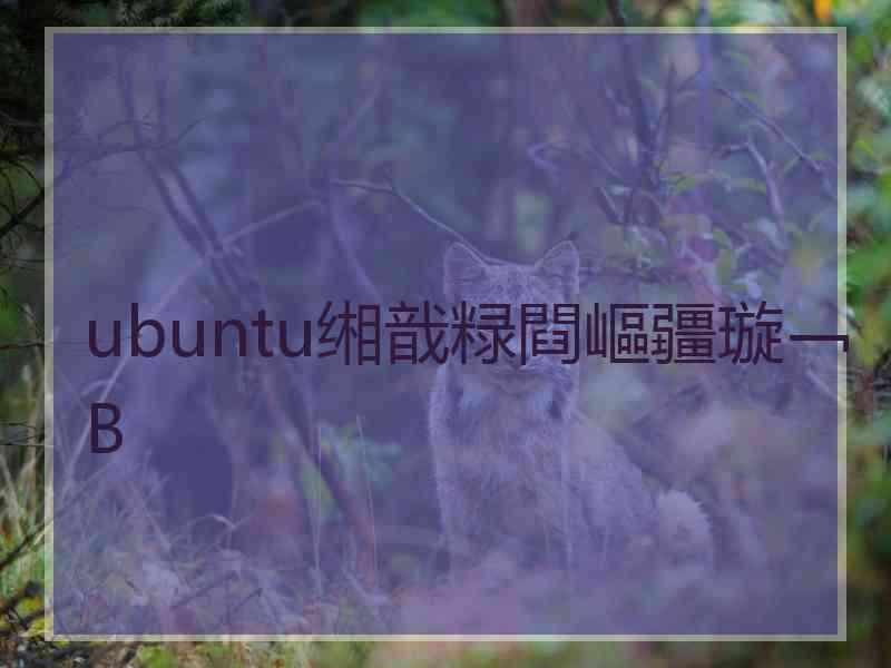 ubuntu缃戠粶閰嶇疆璇﹁В