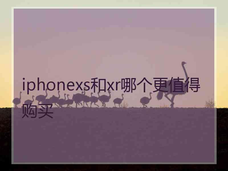 iphonexs和xr哪个更值得购买