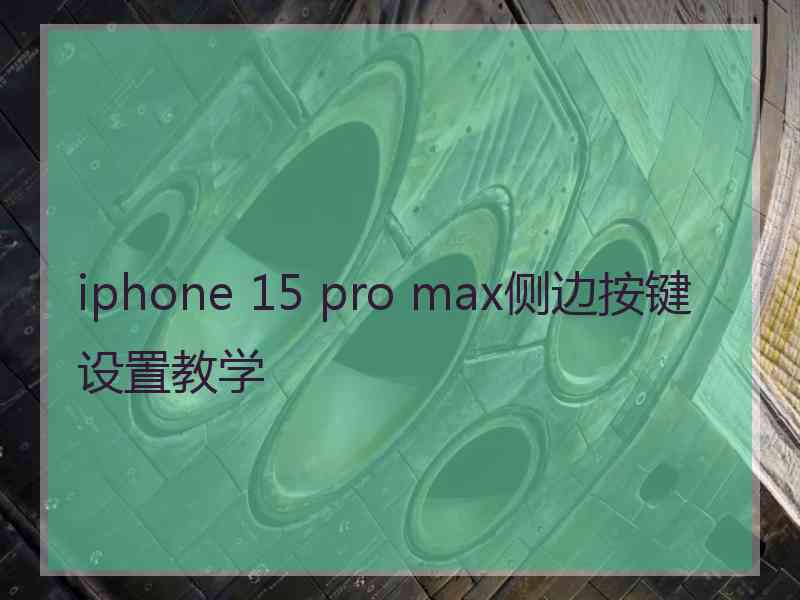 iphone 15 pro max侧边按键设置教学