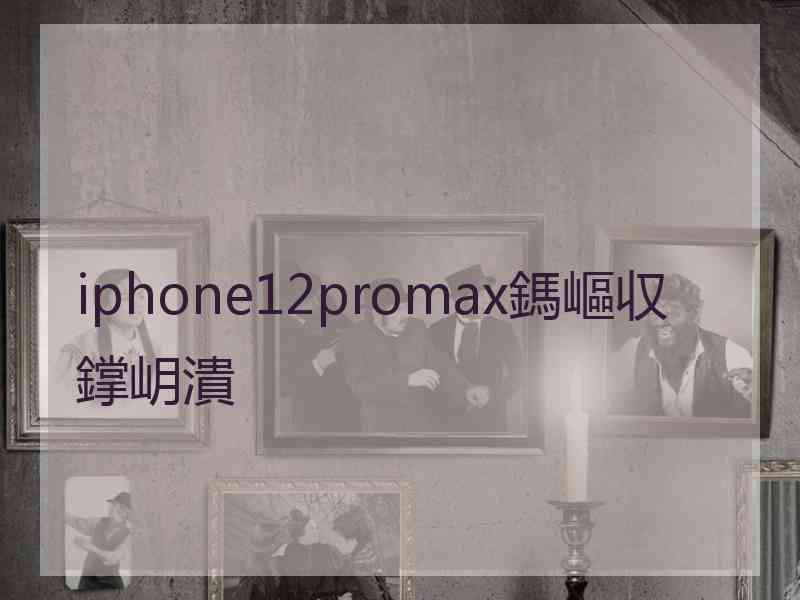 iphone12promax鎷嶇収鐣岄潰