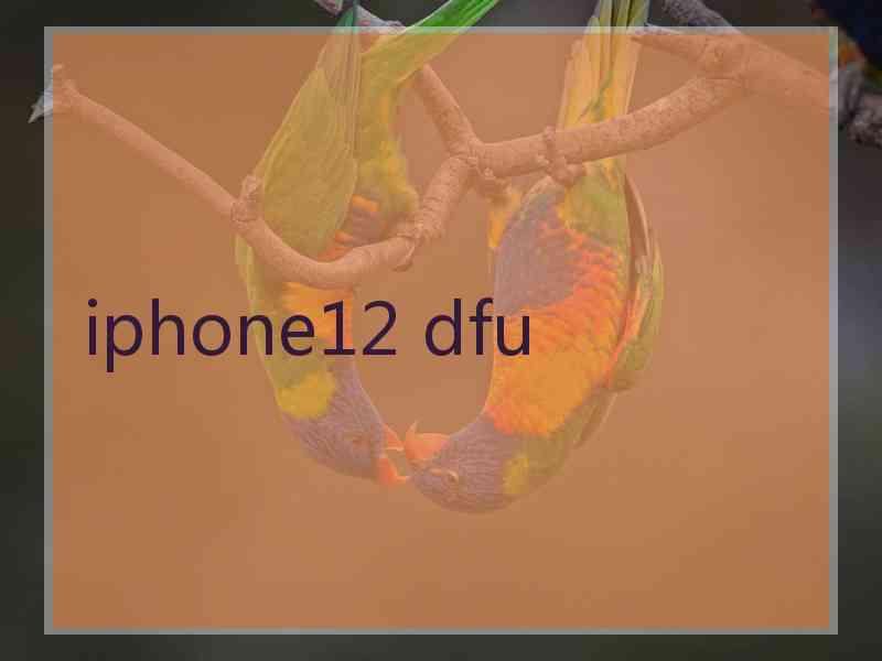 iphone12 dfu