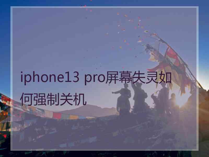 iphone13 pro屏幕失灵如何强制关机