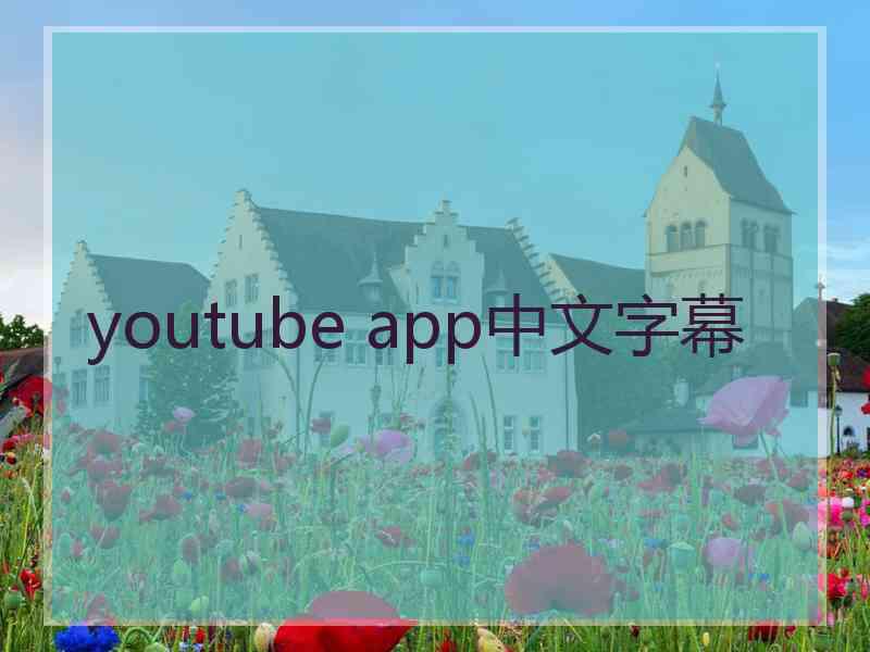 youtube app中文字幕