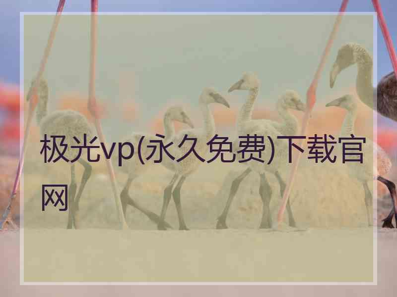 极光vp(永久免费)下载官网