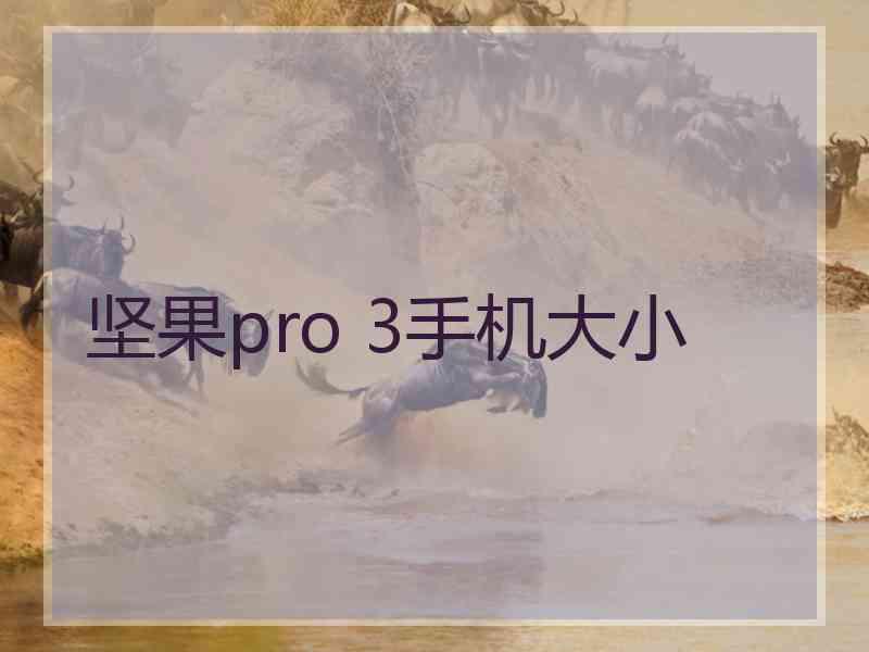 坚果pro 3手机大小