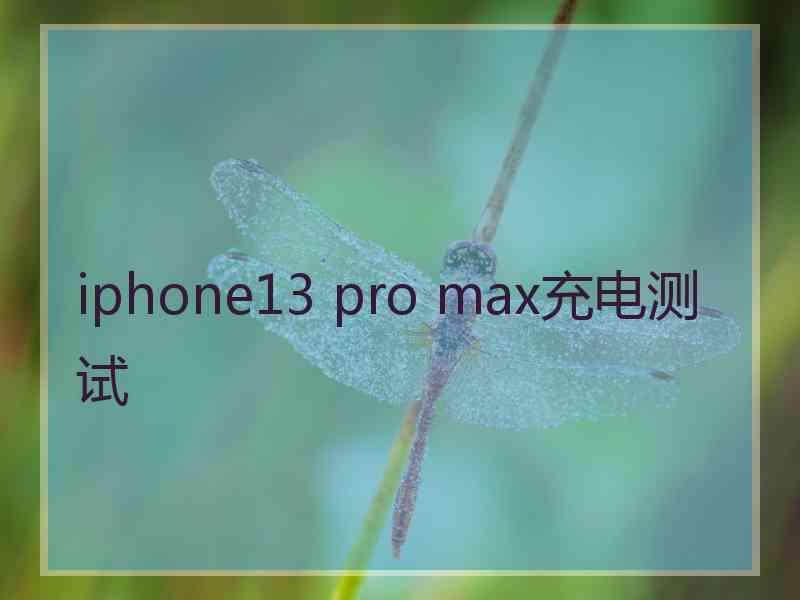 iphone13 pro max充电测试