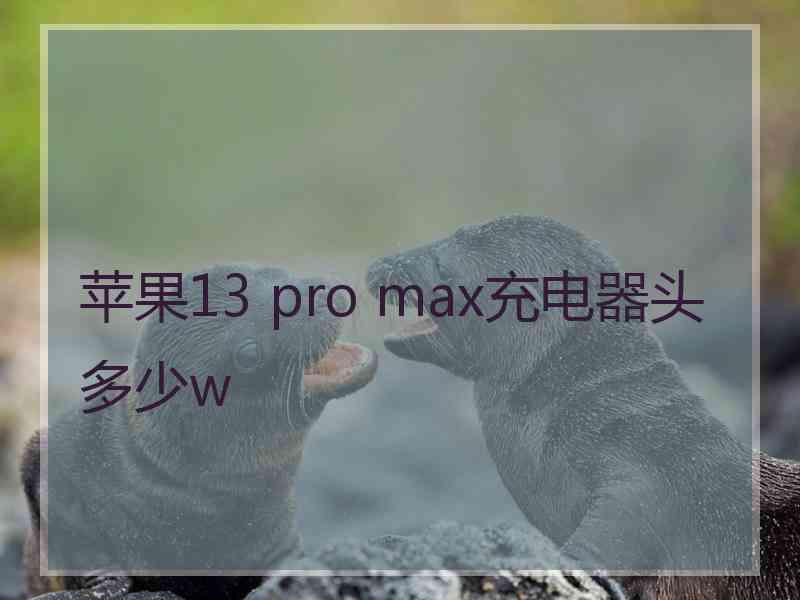 苹果13 pro max充电器头多少w