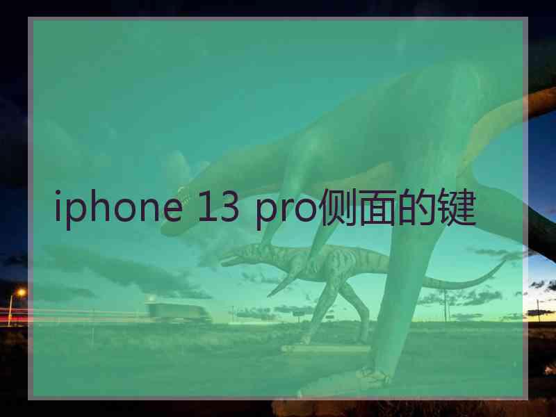 iphone 13 pro侧面的键