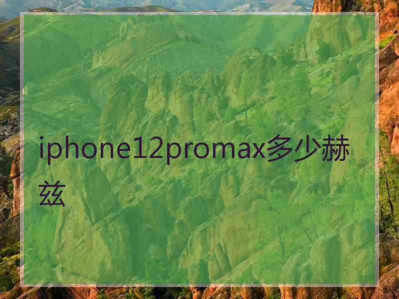 iphone12promax多少赫兹