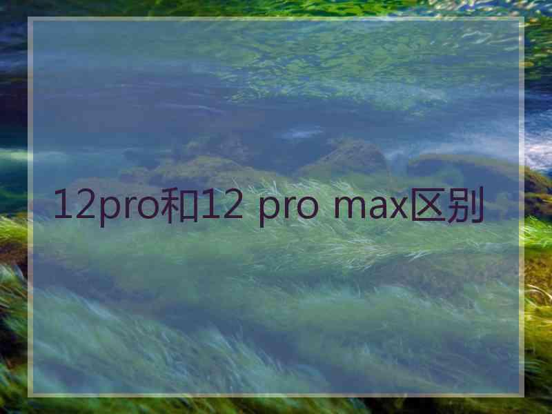 12pro和12 pro max区别