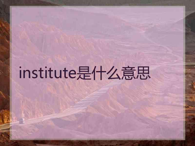 institute是什么意思