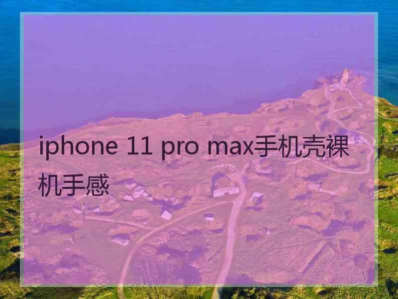 iphone 11 pro max手机壳裸机手感