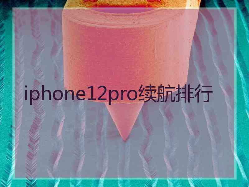 iphone12pro续航排行