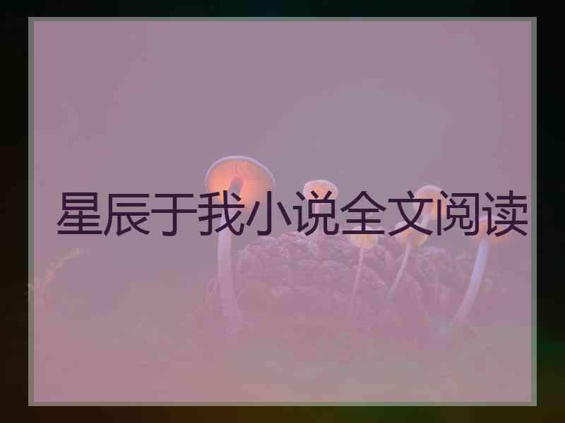 星辰于我小说全文阅读