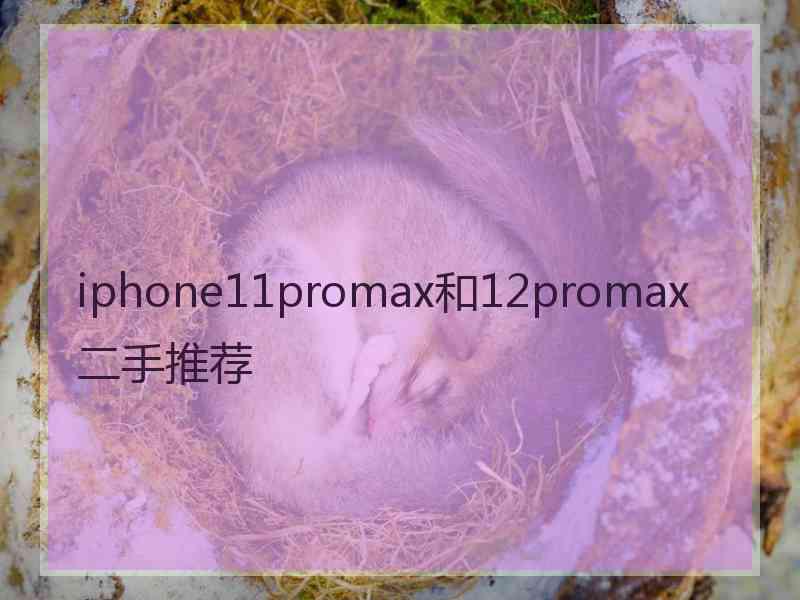 iphone11promax和12promax二手推荐