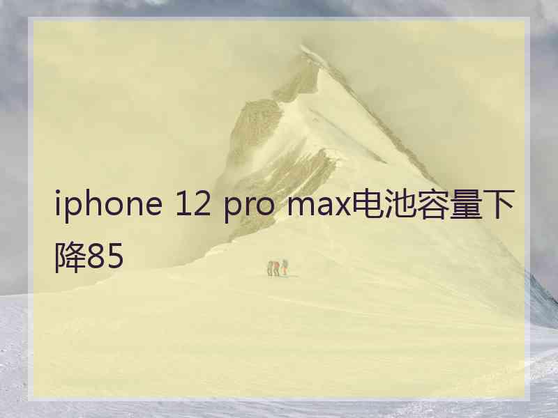 iphone 12 pro max电池容量下降85