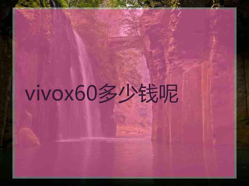 vivox60多少钱呢