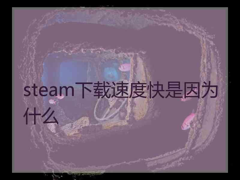 steam下载速度快是因为什么