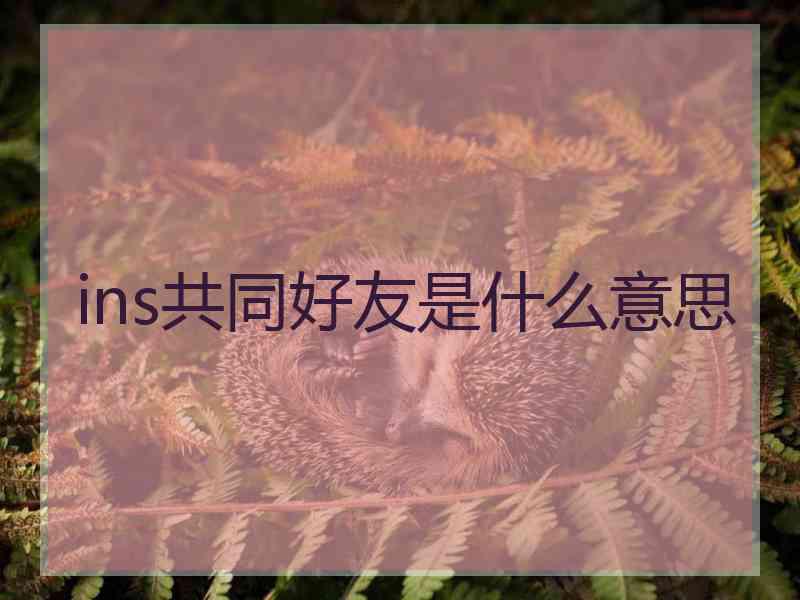 ins共同好友是什么意思